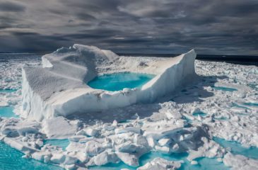 last-ice-climate-change-ocean-sea-animals-arctique