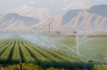 Water, a precious commodity, irrigates a field in southern San Joaquin Valley.